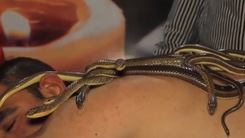 Video: Độc lạ dịch vụ dùng rắn massage giảm đau