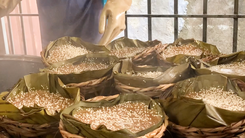 Video: Bánh tổ xứ Quảng lên đường vào Nam đón Tết