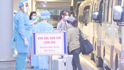Video: Chủng virus các nhân viên Tân Sơn Nhất mắc phải lần đầu xuất hiện tại Đông Nam Á