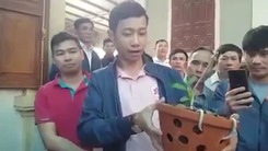Video: Cơ quan thuế đang xác minh vụ bán lan đột biến hơn 1,6 tỉ đồng ở Nghệ An