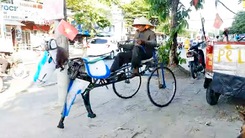 Video: ‘Xe đạp ngựa’ tự chế của ông lão nhặt phế liệu