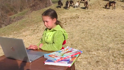 Video: Cháu bé vừa chăn dê, vừa học online trên ngọn núi cao 1.000 mét