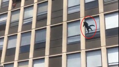 Video: Con mèo nổi tiếng nhờ sống sót khi nhảy từ tầng 5 tòa nhà đang cháy