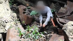 Video: Gỗ quý trong rừng đặc dụng Cham Chu bị tàn phá
