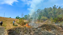 Video: Rừng thông ở Quảng Nam cháy suốt nhiều giờ liền