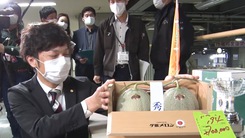 Video: Điều đặc biệt khiến cặp dưa lưới được mua với giá 572 triệu đồng tại Nhật