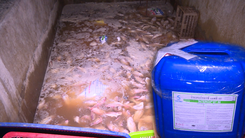 Video: Một cơ sở chế biến khô dùng ‘hóa chất công nghiệp dệt’ để ngâm rửa cá