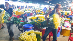 Video: TP.HCM cho mở lại chợ hoa Đầm Sen trong 3 ngày, chia sẻ với nông dân Lâm Đồng tiêu thụ hoa