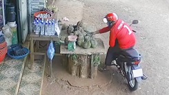 Video: Thanh niên trộm 7 trái sầu riêng và xe đạp trẻ em giữa mùa dịch