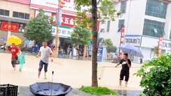 Video: Người dân đua nhau bắt cá trên đường phố sau trận mưa lớn