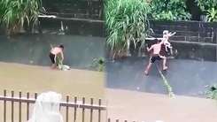 Video: Thiếu niên liều mình cứu con chó bị kẹt trong mưa lũ ở Philippines