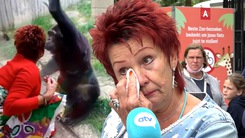 Video: Một người phụ nữ bị cấm đến vườn thú vì thừa nhận 'có quan hệ tình cảm với tinh tinh'