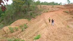 Video: Đề nghị điều tra vụ giám đốc ngân hàng hủy hoại đất ở Đắk Lắk