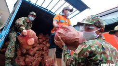 6.000 tấn rau sạch từ Lâm Đồng chuyển tặng TP.HCM bằng xe giường nằm máy lạnh