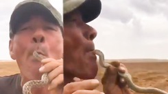 Video: Thử thách nuốt rắn vui vui, một người đàn ông tử vong trên cánh đồng dưa hấu