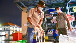 Video: Đêm đầu tiên hải sản, rau củ về lại chợ Bình Điền, nguồn cung dồi dào