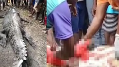 Video: Chuyện rợn người ở Indonesia, dân làng mổ bụng cá sấu phát hiện thi thể, người thân khóc ngất