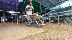 Video: Nhiều nơi ở Đà Nẵng vẫn ngổn ngang bùn đất sau đêm lũ lịch sử