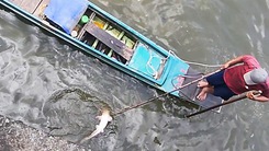 Video: Ngang nhiên xuyệt điện đánh bắt cá trên kênh Nhiêu Lộc - Thị Nghè giữa ban ngày