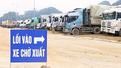 Video: Lạng Sơn tạm thời dừng tiếp nhận xe hoa quả tươi lên cửa khẩu đến ngày 5-3
