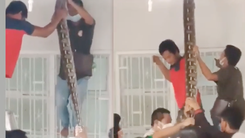Video: Công nhân hợp sức bắt trăn 'khủng' trên trần nhà