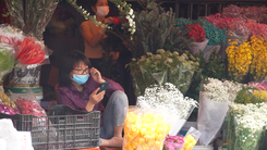Video: Chợ hoa lớn nhất Hà Nội vắng vẻ trước thềm ngày 8-3