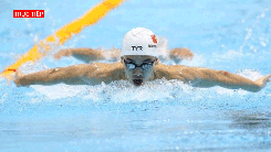 Trực tiếp: Tranh huy chương vàng môn bơi tại SEA Games 31