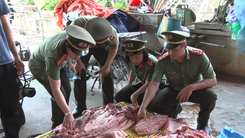 Video: Phát hiện 2,3 tấn thịt lợn bệnh, lợn chết sắp tuồn ra thị trường