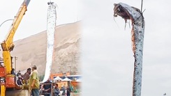 Video: Khoảnh khắc người dân dùng cần cẩu đưa cá mái chèo dài gần 5m vào bờ