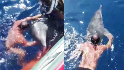Video: Hồi hộp xem ngư dân giải cứu cá heo dính chặt trong lốp xe treo ở mạn thuyền