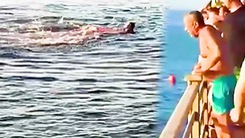 Video: Cá mập tấn công làm 2 nữ du khách tử vong khi bơi ở Biển Đỏ, Ai Cập