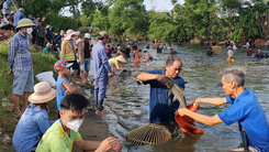 Video: Cả trăm 'nơm thủ' hò reo, bắt cá ở Nghệ An