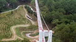 Video: Chưa cấp phép công trình cầu đáy kính Thung lũng tình yêu ở Đà Lạt