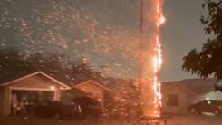 Video: Cận cảnh cây cọ bốc cháy dữ dội sau khi bị sét đánh