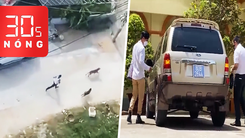 Bản tin 30s Nóng: Bắt giam người thả chó pitbull cắn hàng xóm ở Đà Nẵng; Tạm giữ ô tô nghi gắn biển số giả