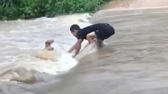 Video: Chó cưng được chủ cứu mạng giữa dòng nước xiết