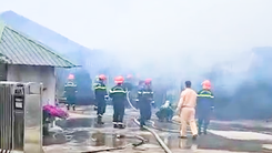 Xưởng nấm hương của tiến sĩ, chuyên gia nấm hàng đầu Việt Nam ở Lạc Dương bị cháy rụi