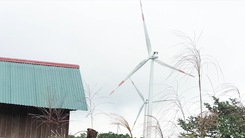 Đề nghị làm rõ trách nhiệm vụ tua bin điện gió trồng sai chỗ ở Quảng Trị