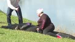Video: Cụ bà 85 tuổi thiệt mạng khi cứu chó cưng khỏi hàm cá sấu