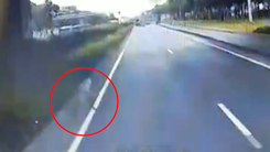 Video: Lao ra quốc lộ 1, người đàn ông bị xe container tông chết