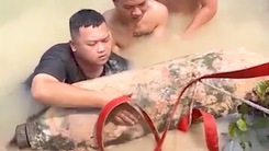 Video: Cận cảnh di dời quả bom 300kg dưới hồ nước sâu ở Bình Phước
