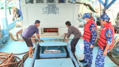 Bắt tàu cá chở 30.000 lít dầu DO không rõ nguồn gốc