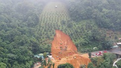 Một phần đồi sầu riêng 2ha đè sập chốt CSGT đèo Bảo Lộc là đất rừng