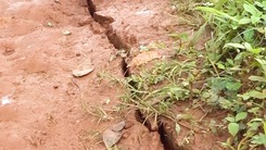 Vết nứt dài hơn 200 mét trên mặt đất sau 2 tiếng nổ lớn ở Đắk Nông