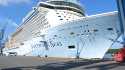 Cận cảnh siêu tàu Spectrum of the Seas đưa hơn 4.000 khách quốc tế cập cảng Bà Rịa - Vũng Tàu