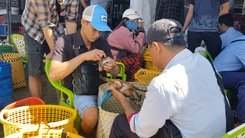 Sôi động 'chợ trời đấu giá cua' ở Kiên Giang