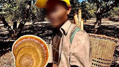 Tìm thấy thi thể người đàn ông đi lạc trong Vườn quốc gia Cát Tiên