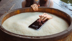 iPhone bị ướt có nên bỏ vào thùng gạo hay không?