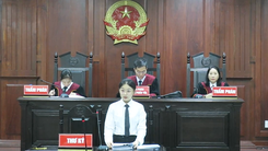 Năm bị cáo vắng mặt, hoãn phiên tòa phúc thẩm vụ bà Nguyễn Phương Hằng