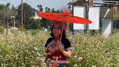 Góc nhìn trưa nay | Mê mẩn với vẻ đẹp của vườn hoa tam giác mạch ở Quảng Nam